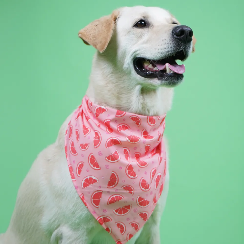 Skatrs Bandana for Dogs Fashionable and Fun (Pink)